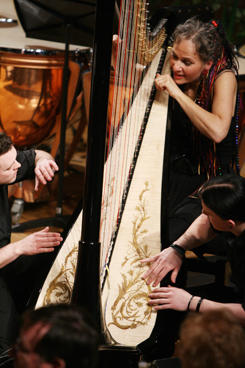 Muchas Manos - Many hands, One Harp